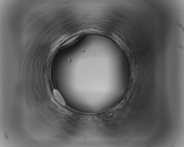 X0000099970193200806061638