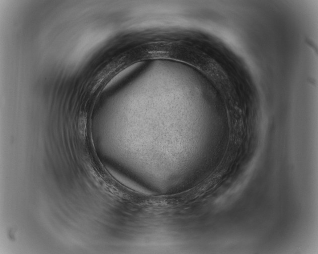 X0000099970194200806061638