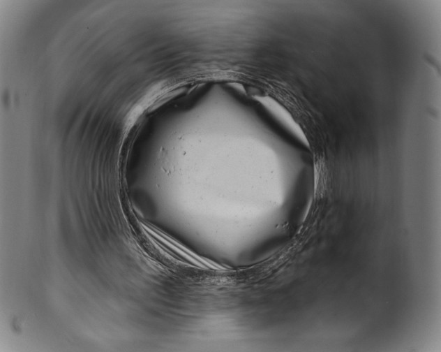 X0000099970195200806061638