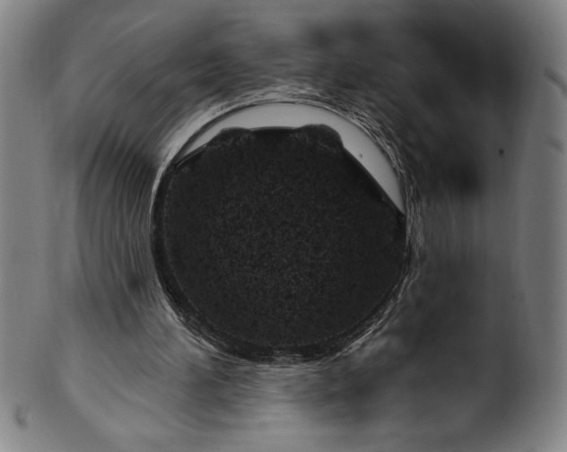 X0000099970196200806061638