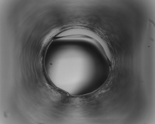 X0000099970197200806061638