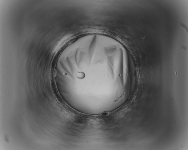 X0000099970199200806061638