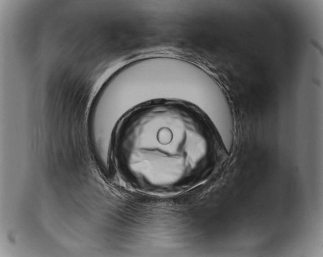 X0000099970200200806061638