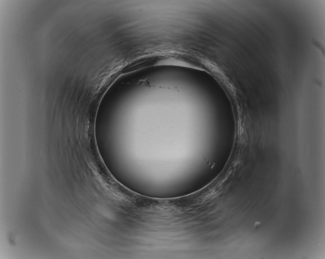 X0000099970201200806061638