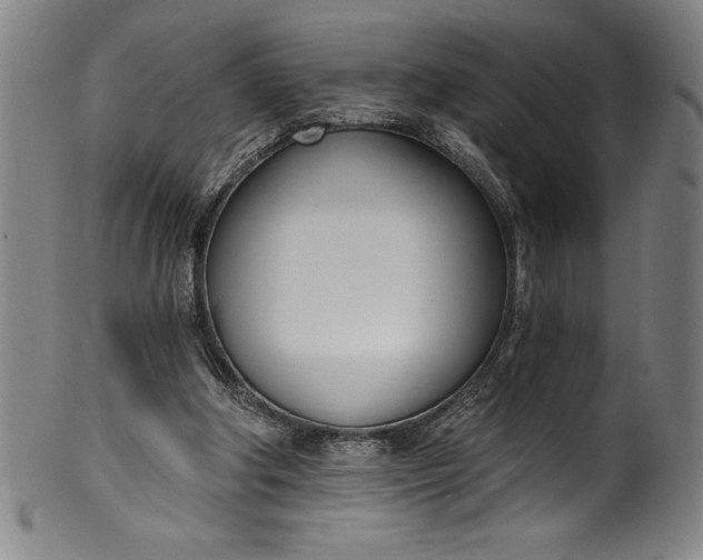 X0000099970202200806061638