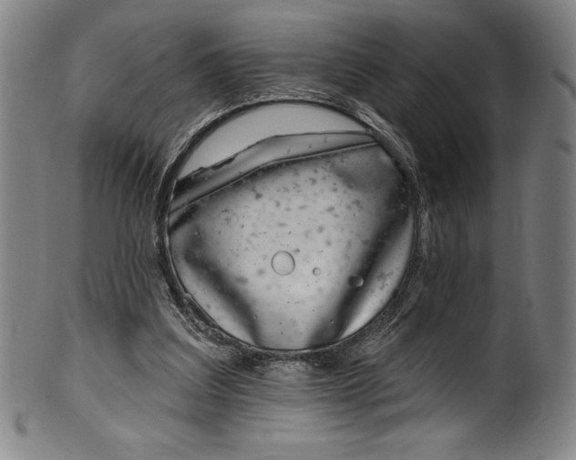 X0000099970203200806061638