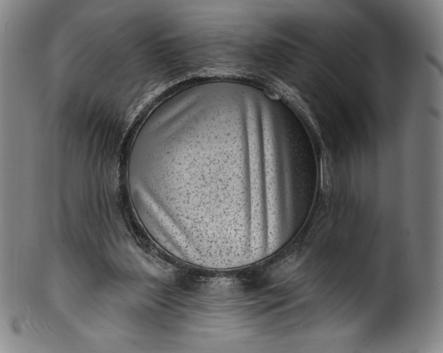 X0000099970204200806061638