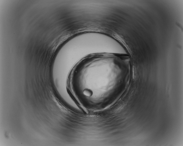 X0000099970205200806061638