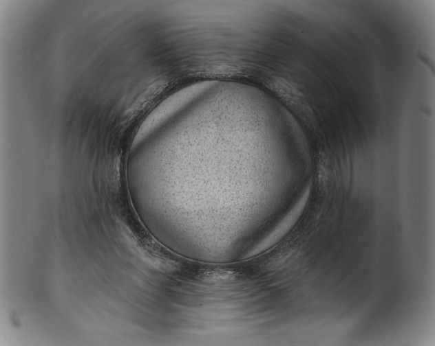 X0000099970206200806061638