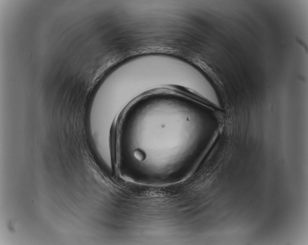 X0000099970207200806061637