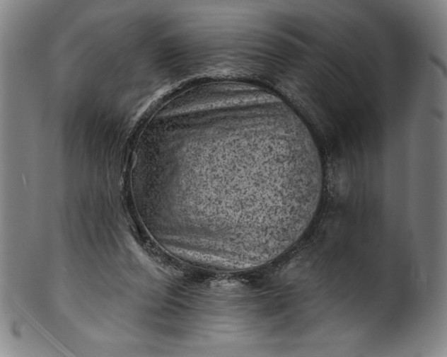 X0000099970208200806061637