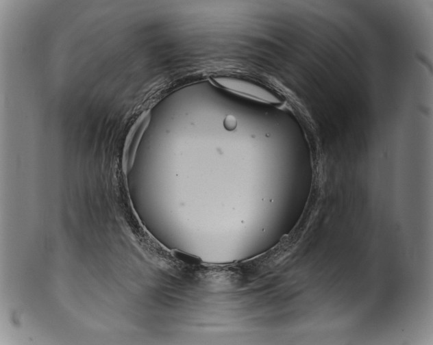 X0000099970209200806061637