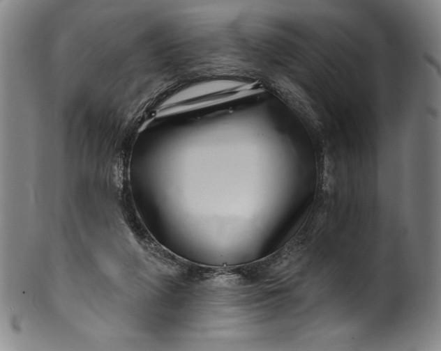 X0000099970210200806061637