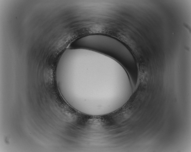 X0000099970211200806061637