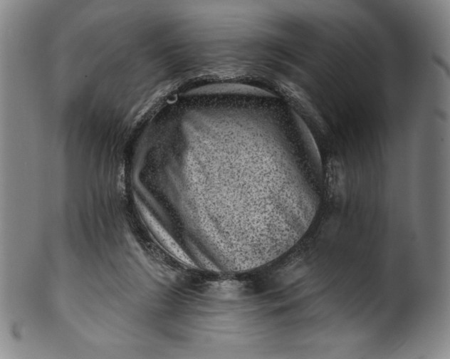 X0000099970212200806061637