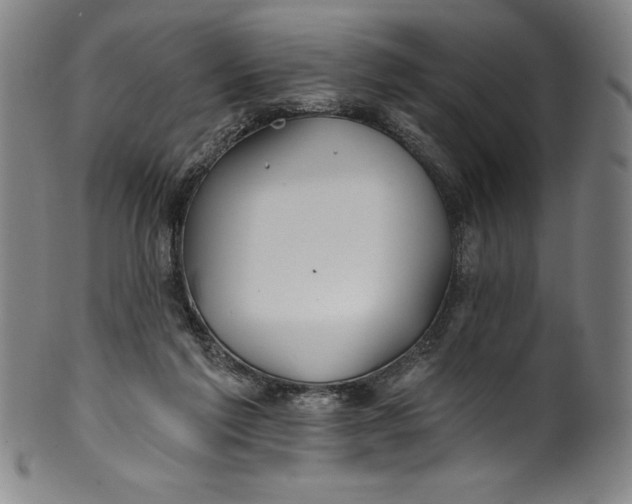 X0000099970213200806061637