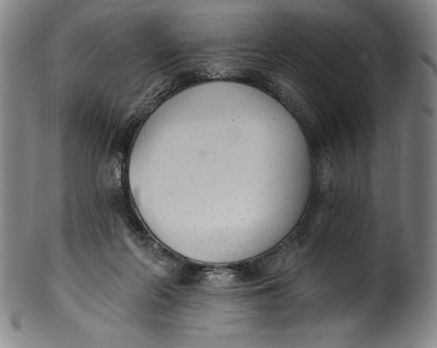 X0000099970214200806061637