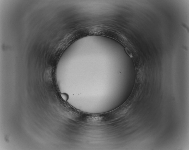 X0000099970217200806061637