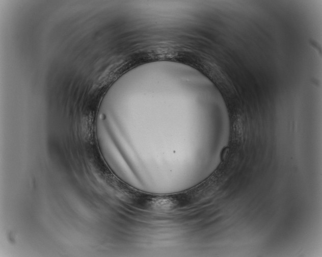 X0000099970218200806061637