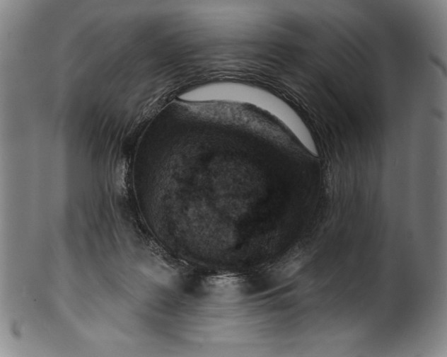 X0000099970219200806061637