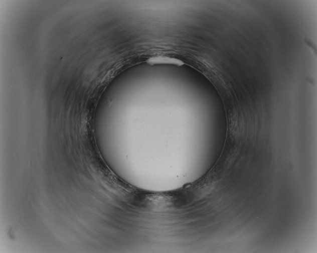 X0000099970221200806061637