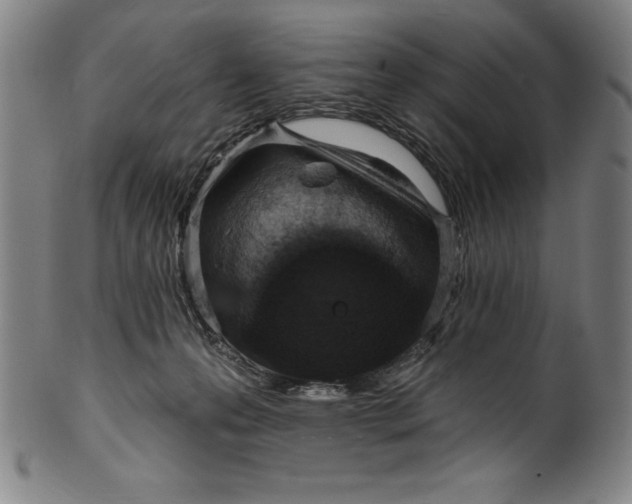 X0000099970223200806061637