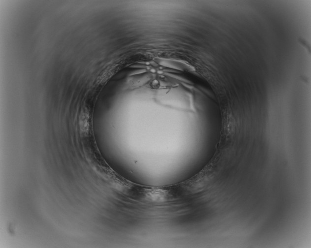 X0000099970226200806061637