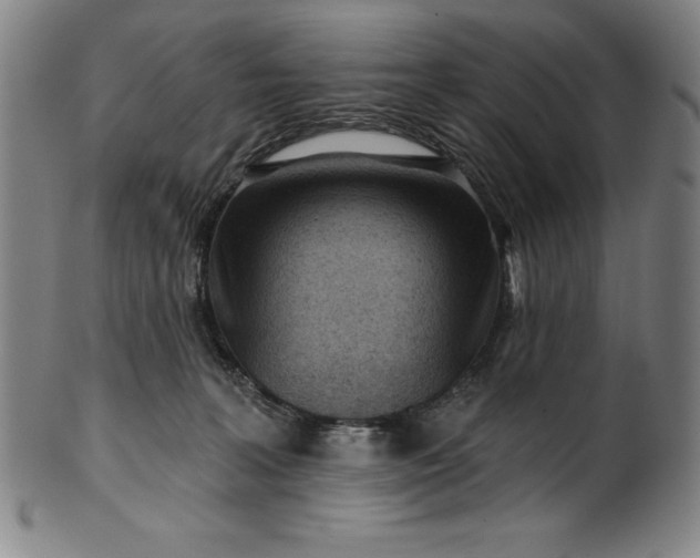 X0000099970227200806061637