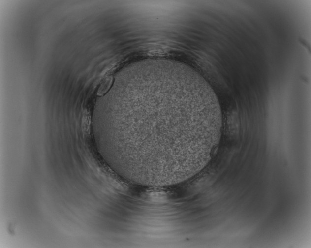 X0000099970228200806061637