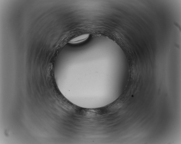 X0000099970229200806061637