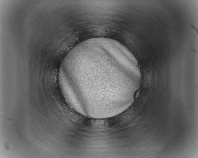 X0000099970230200806061637