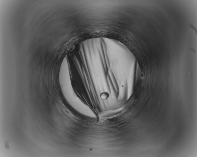 X0000099970231200806061637