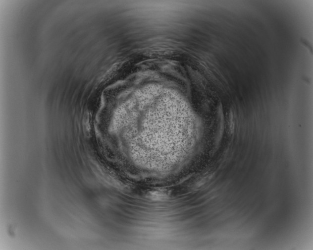 X0000099970232200806061637