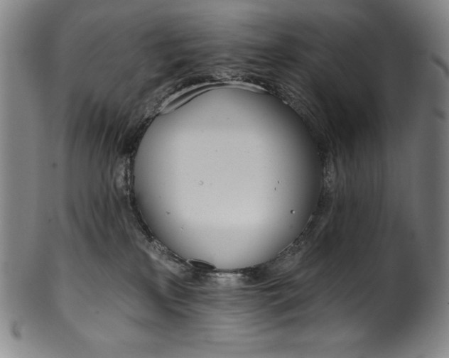 X0000099970233200806061637