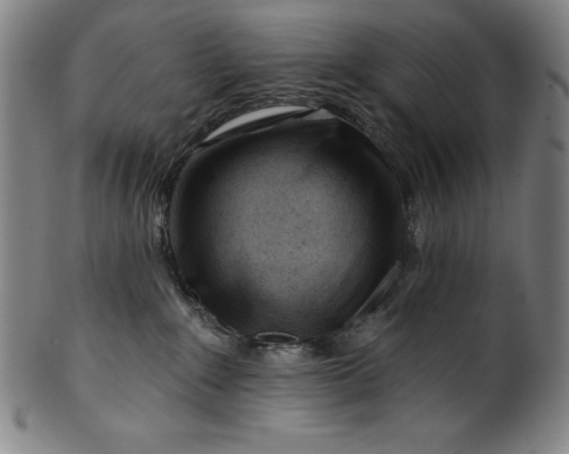 X0000099970235200806061637