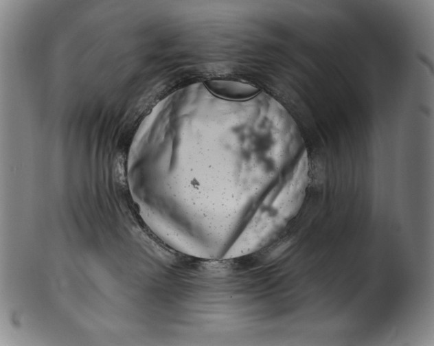 X0000099970238200806061637