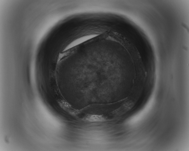 X0000099970239200806061637