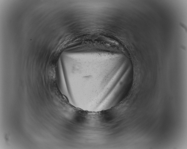 X0000099970240200806061637