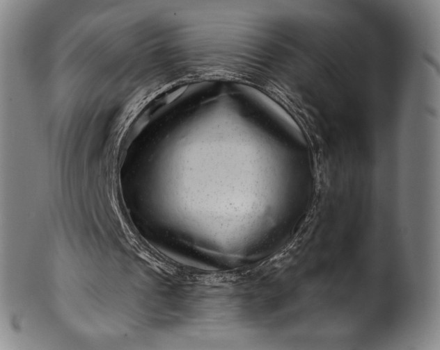 X0000099970241200806061636