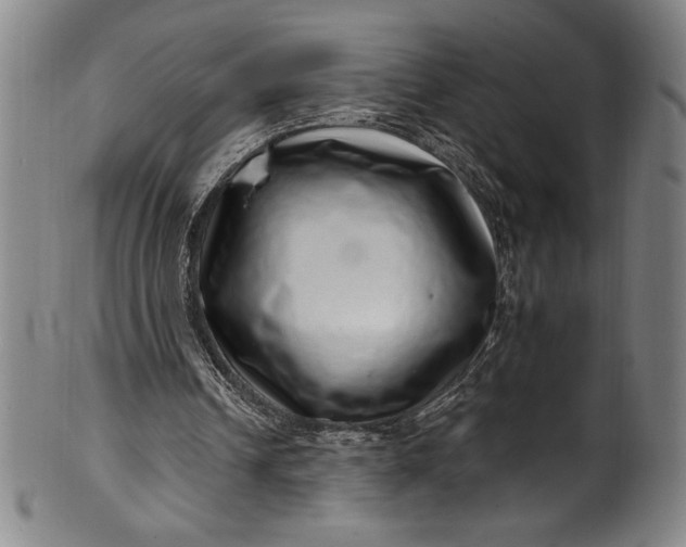 X0000099970242200806061636