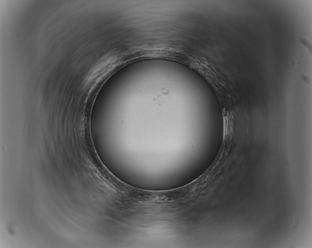 X0000099970243200806061636