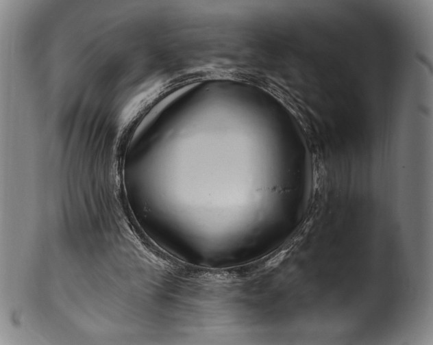 X0000099970245200806061636