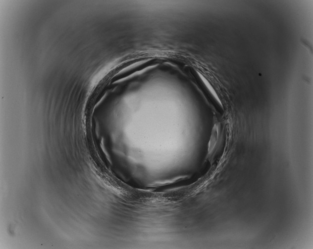 X0000099970246200806061636