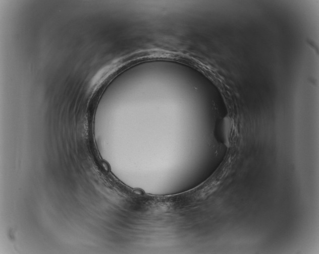 X0000099970247200806061636