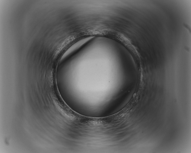 X0000099970250200806061636