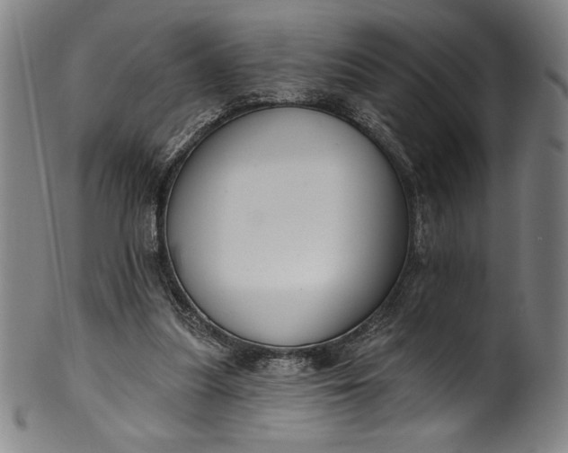 X0000099970251200806061636