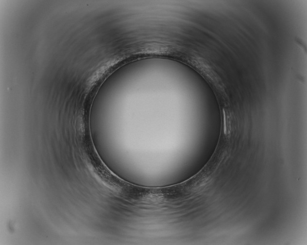 X0000099970252200806061636