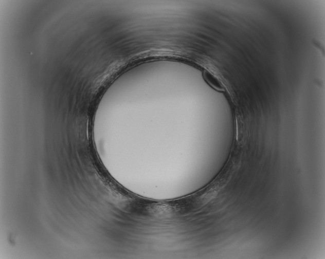 X0000099970253200806061636