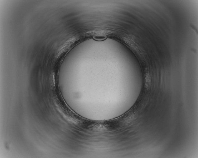 X0000099970254200806061636