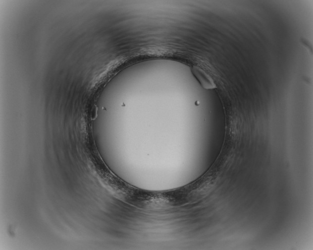 X0000099970256200806061636